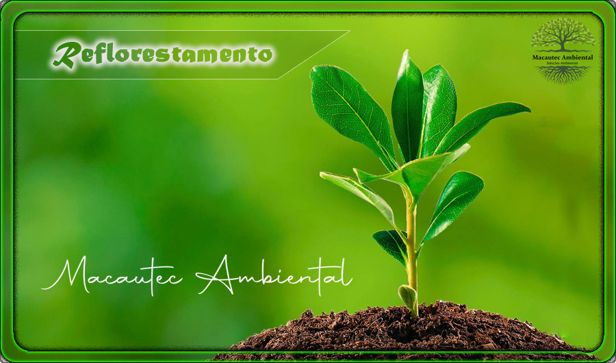 meio-ambiente1